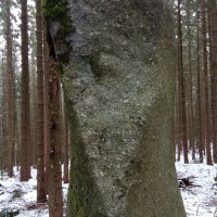 Bohyně